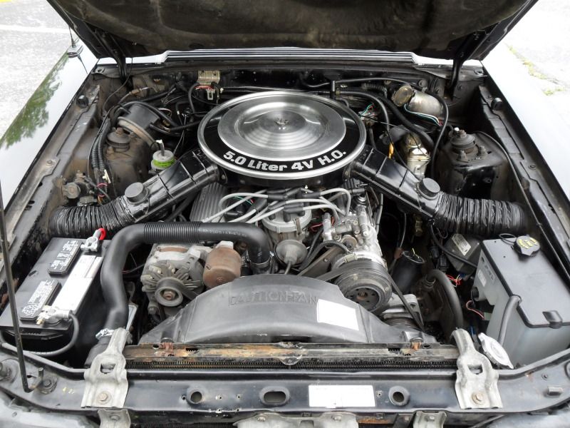 What are the real differences in the dual snorkel air cleaners?